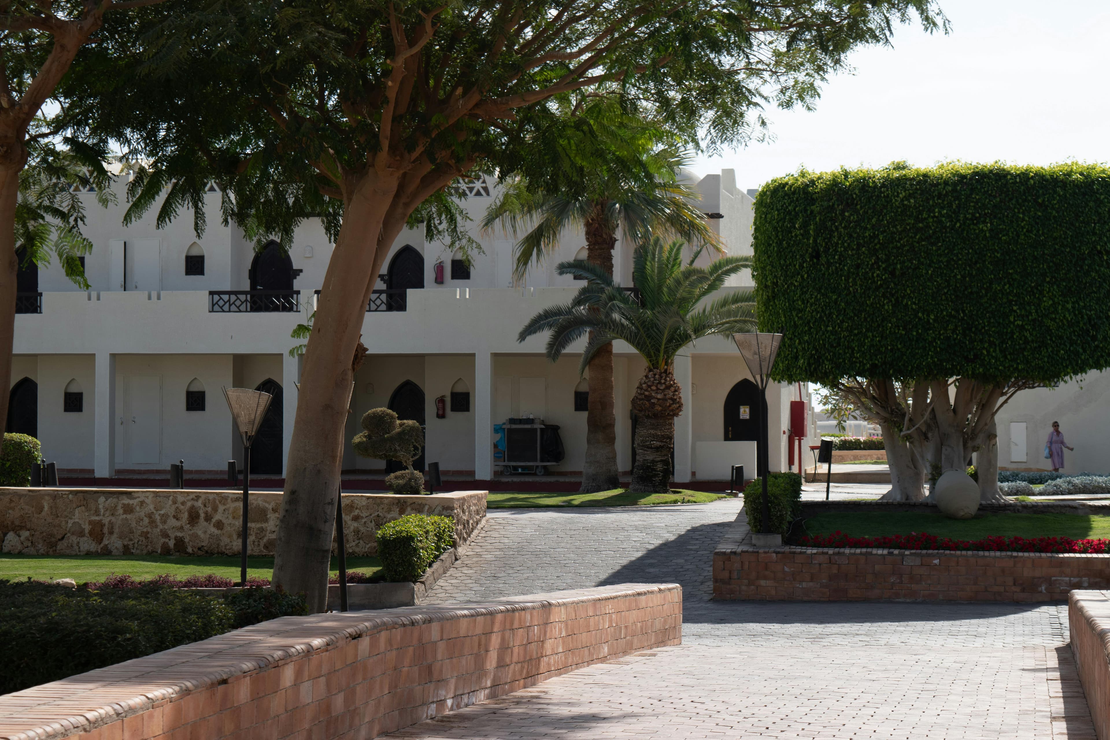 White arched building nestled among palm trees and lush greenery along a sunny brick path.